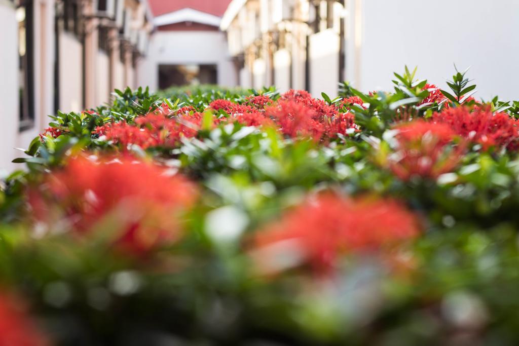 Hotel Casagrande Palmas  Exterior photo